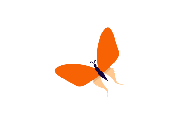 Butterfly Decorative Pattern