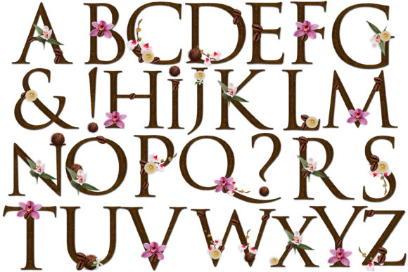 Evaluating Decorative Font Assets for Professional Creative Projects