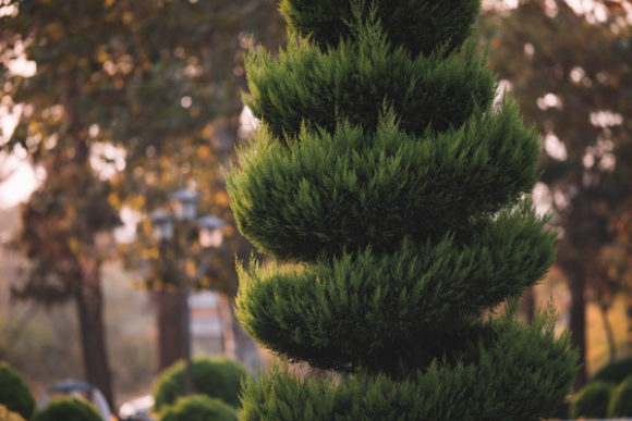 Spiral Shape Decorative Tree